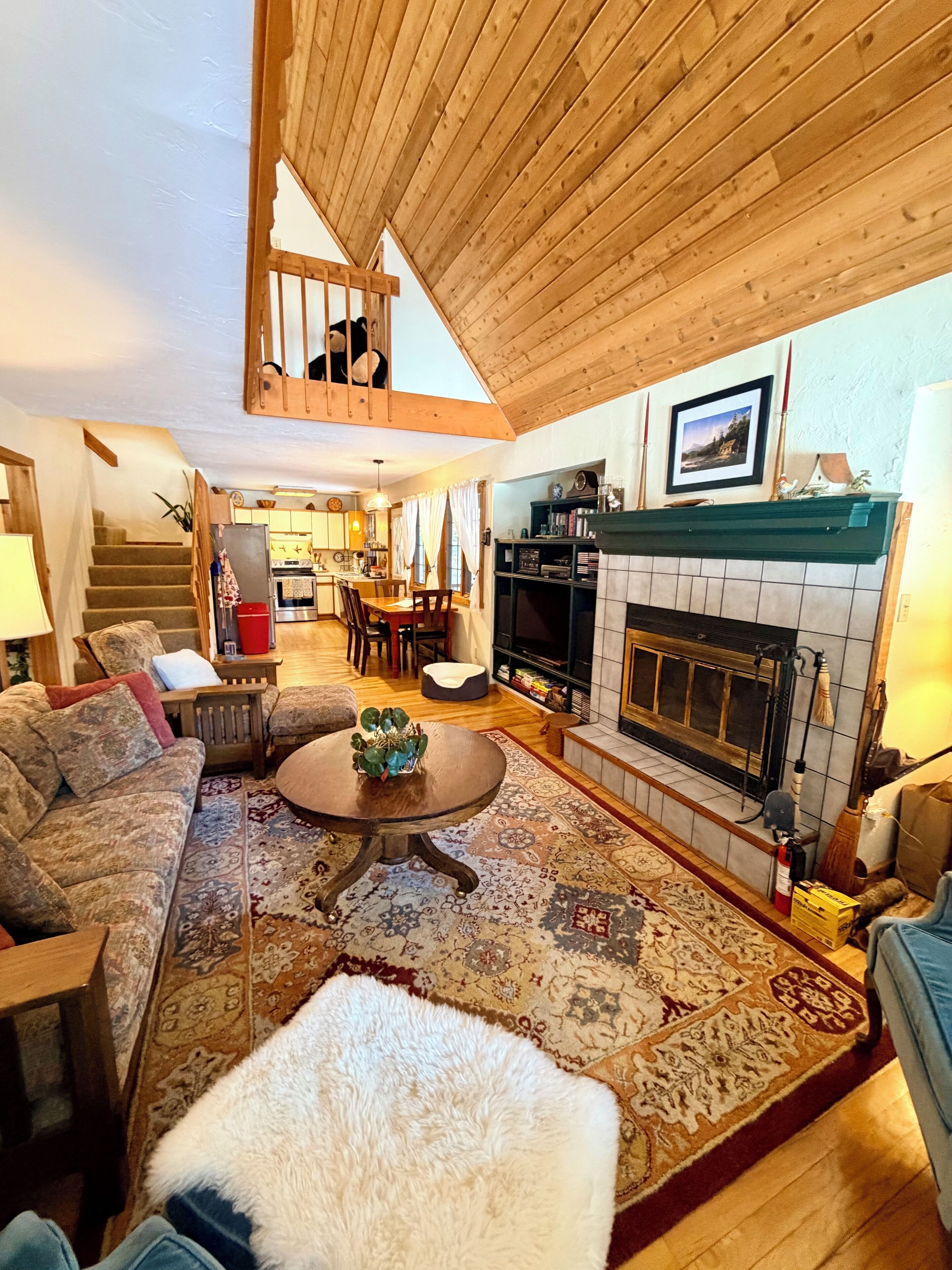 Una Smart TV, una chimenea, un reproductor de DVD, libros