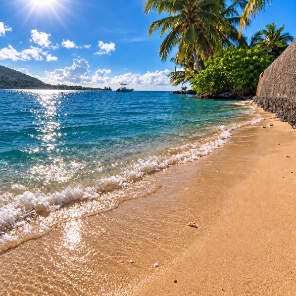 A beach with clear water, palm trees, and a boat in the distance.