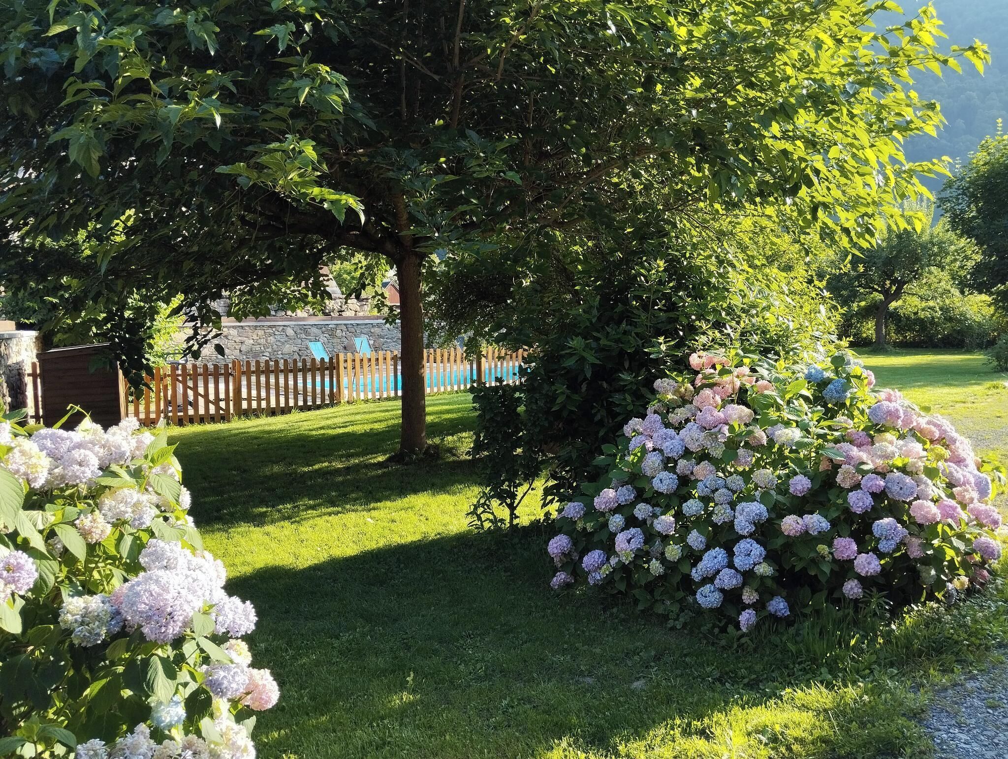 Un jardin agrémenté de buissons d’hortensias, d’une clôture en bois et d’un mur de pierres.