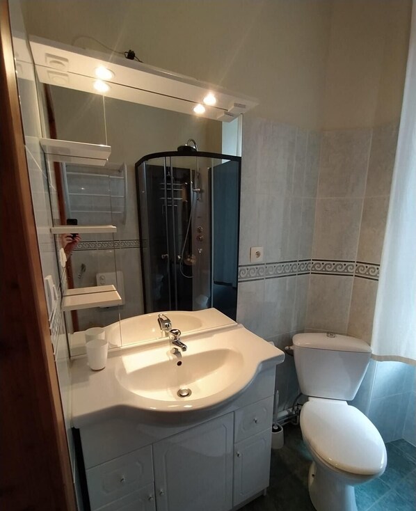 A bathroom with a white sink, a toilet, and a glass-enclosed shower.