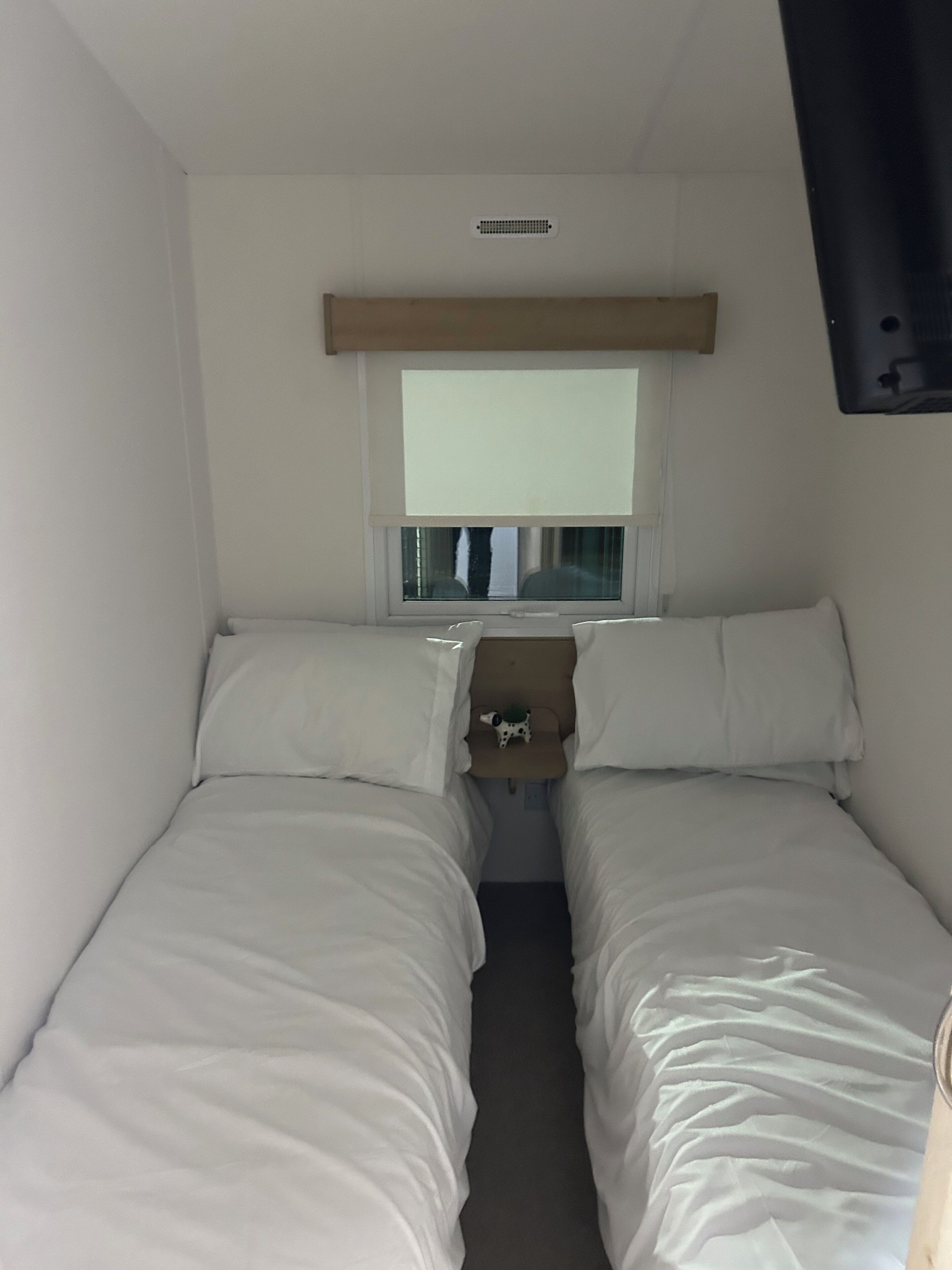 A small, compact room with two single beds, a small table with a plant, a window with a view, and a ceiling vent.