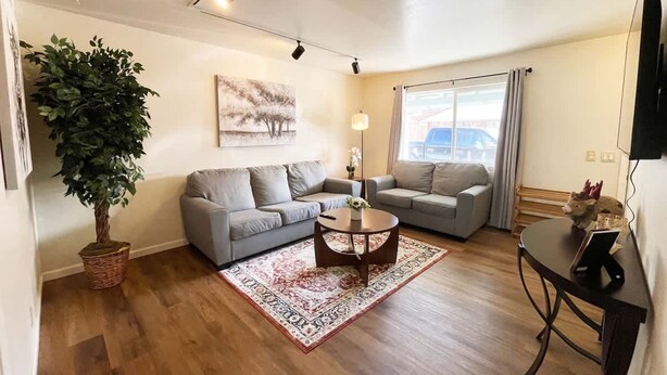 A living room with two sofas, a coffee table, a floor lamp, a large potted plant, and a painting on the wall. - Campbell Cozy Bright 2B 1b AC Close to Downtown (Campbell)
