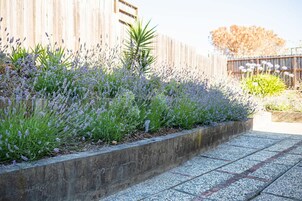 独立别墅 | 4 多间卧室