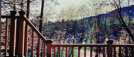 Baignoire à remous extérieure