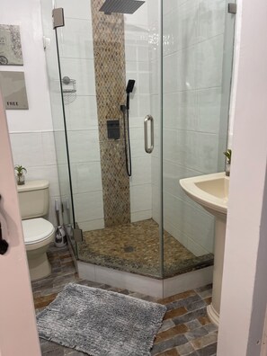 Douche, séchoir à cheveux, serviettes fournies, savon