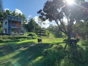Área da propriedade