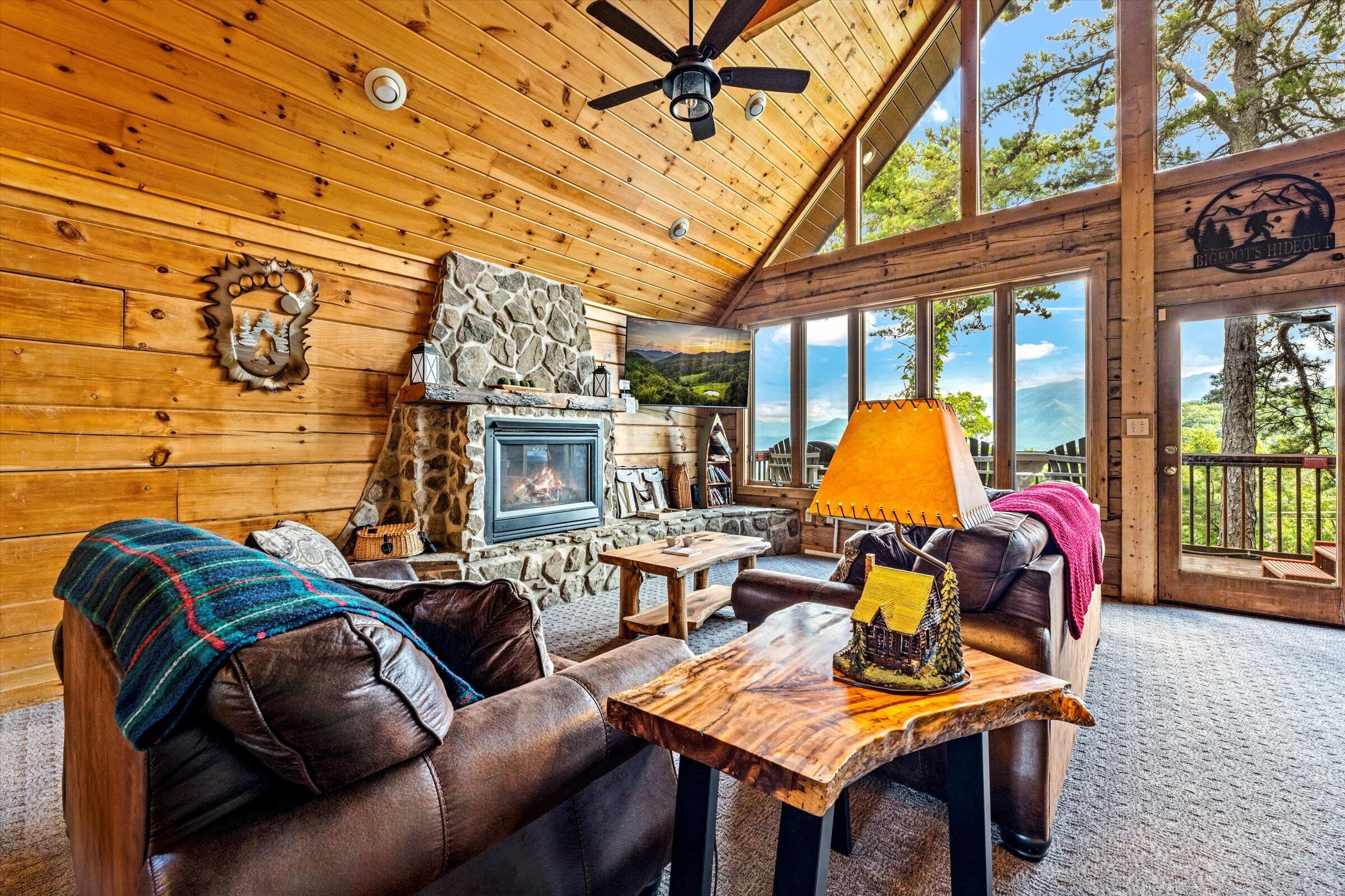 智能电视、壁炉、电子游戏、书