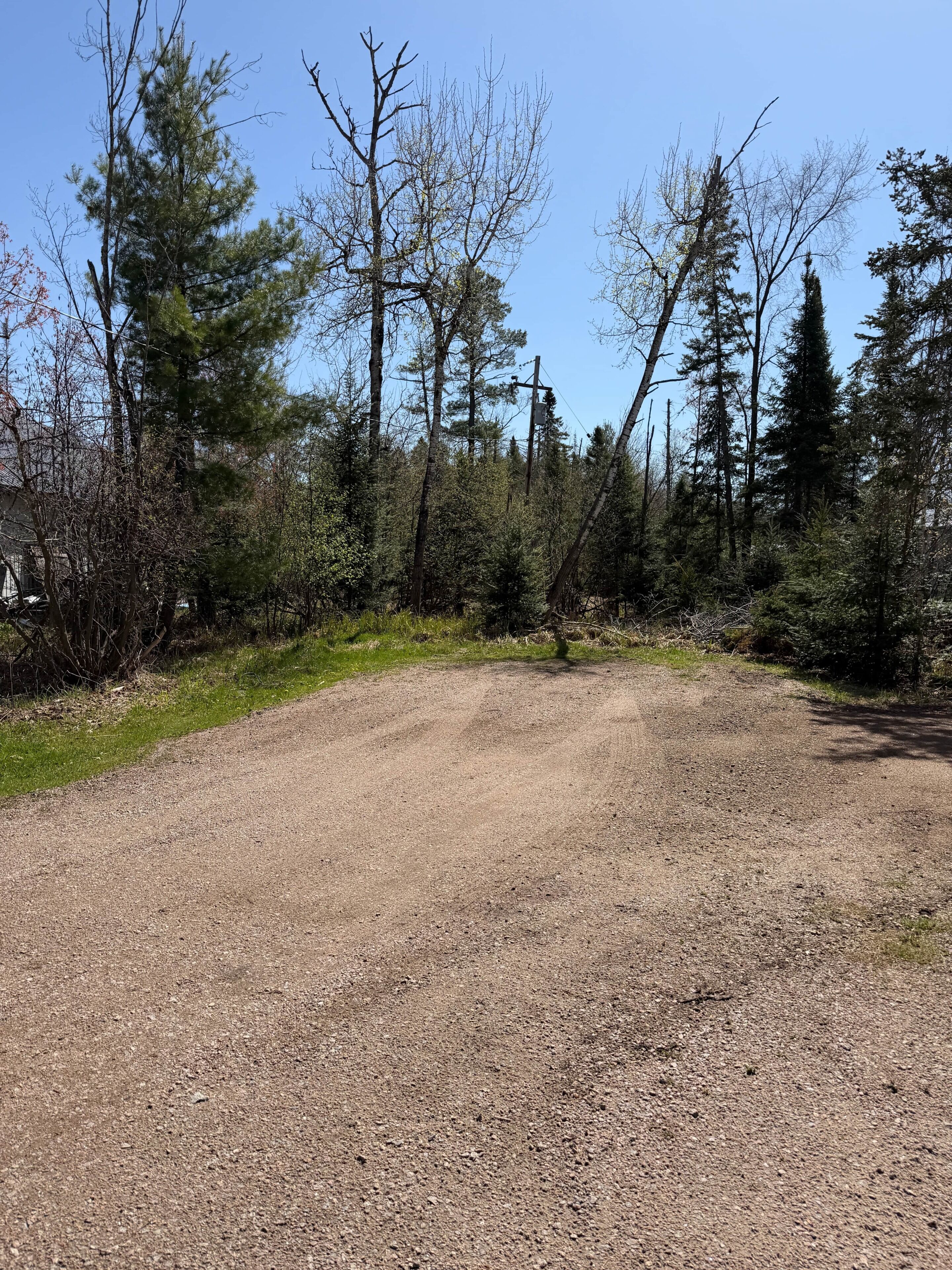 A gravel path surrounded by trees and greenery.