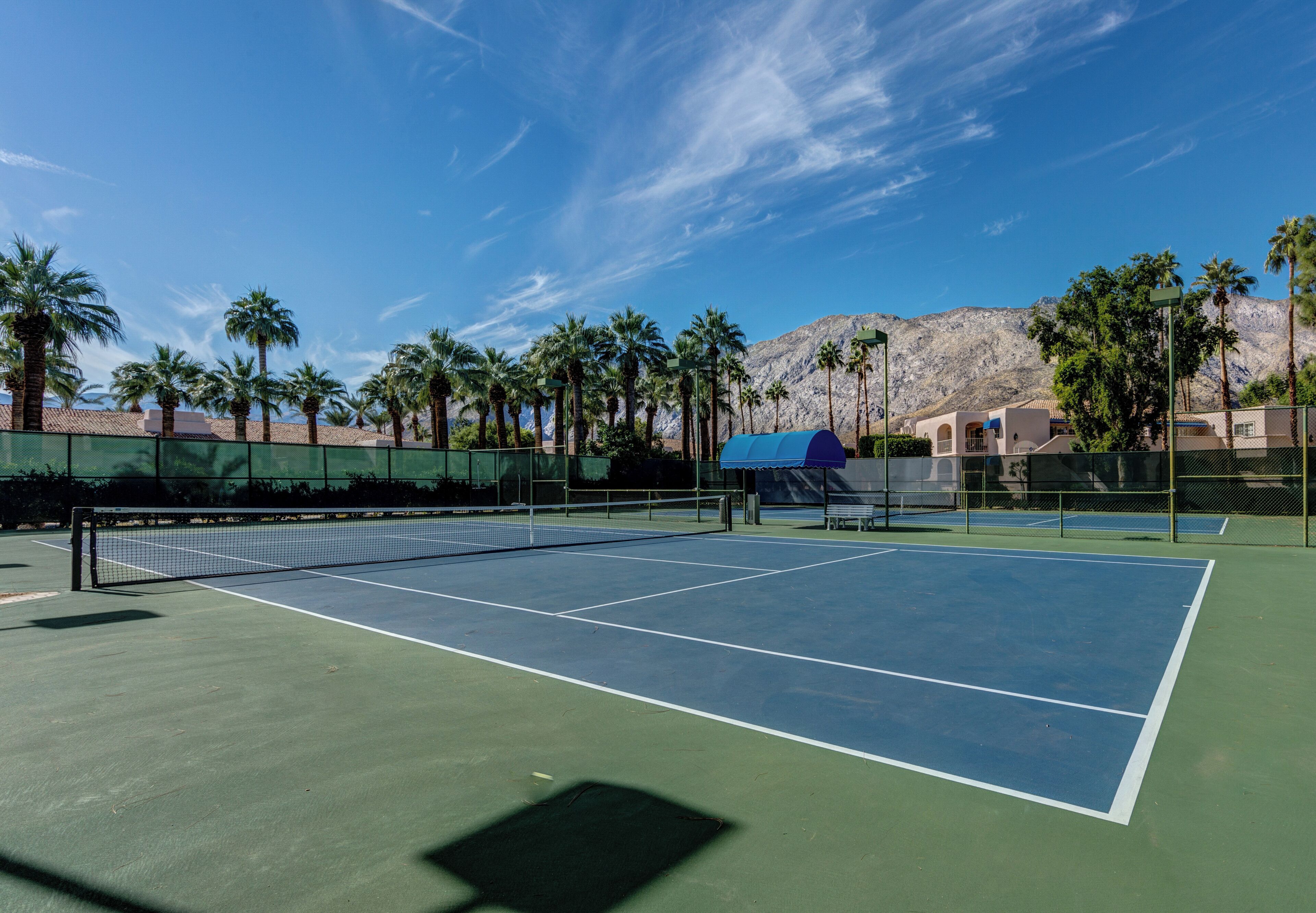 Een buitento tennisbaan met een net, omgeven door palmbomen en een berg op de achtergrond.