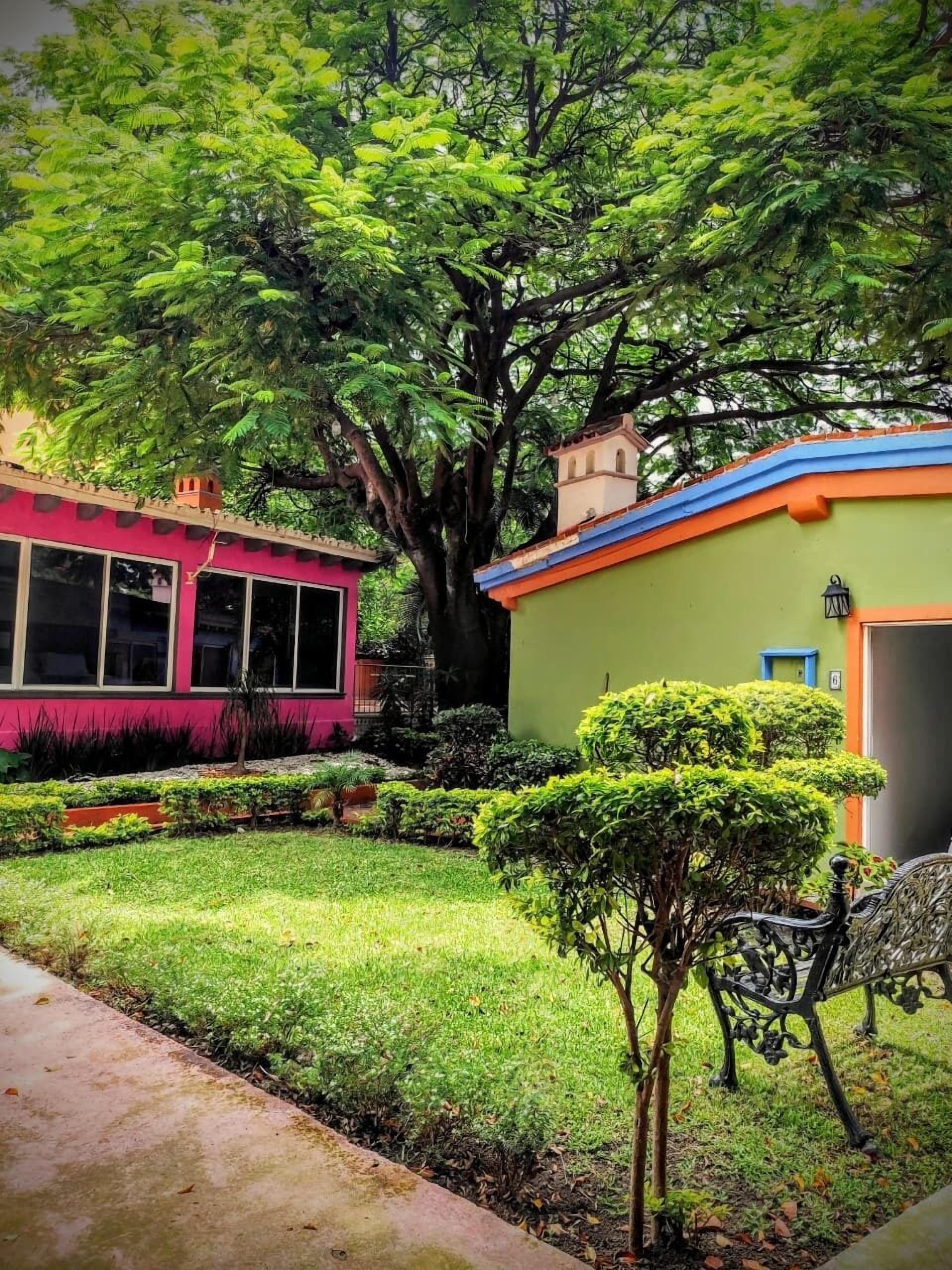 A house with a large tree in front, a small garden, and a pink building with windows.