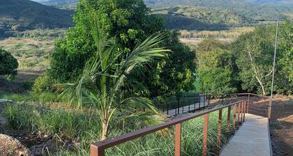 Connecting with nature