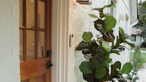 Une porte en bois avec des panneaux de verre, une grande plante en pot et un tapis à motifs sur un porche en béton.