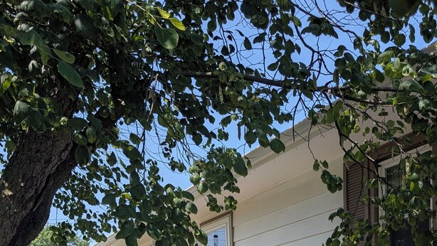A house with a front porch, a wooden table, and a potted plant. - This property is shared with the Host. On the corner in a welcoming neighborhood (Lima)