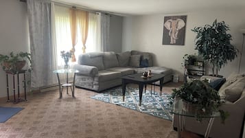Un saló amb un sofà, una taula de centre i una catifes. Hi ha plantes i un quadre a les parets.