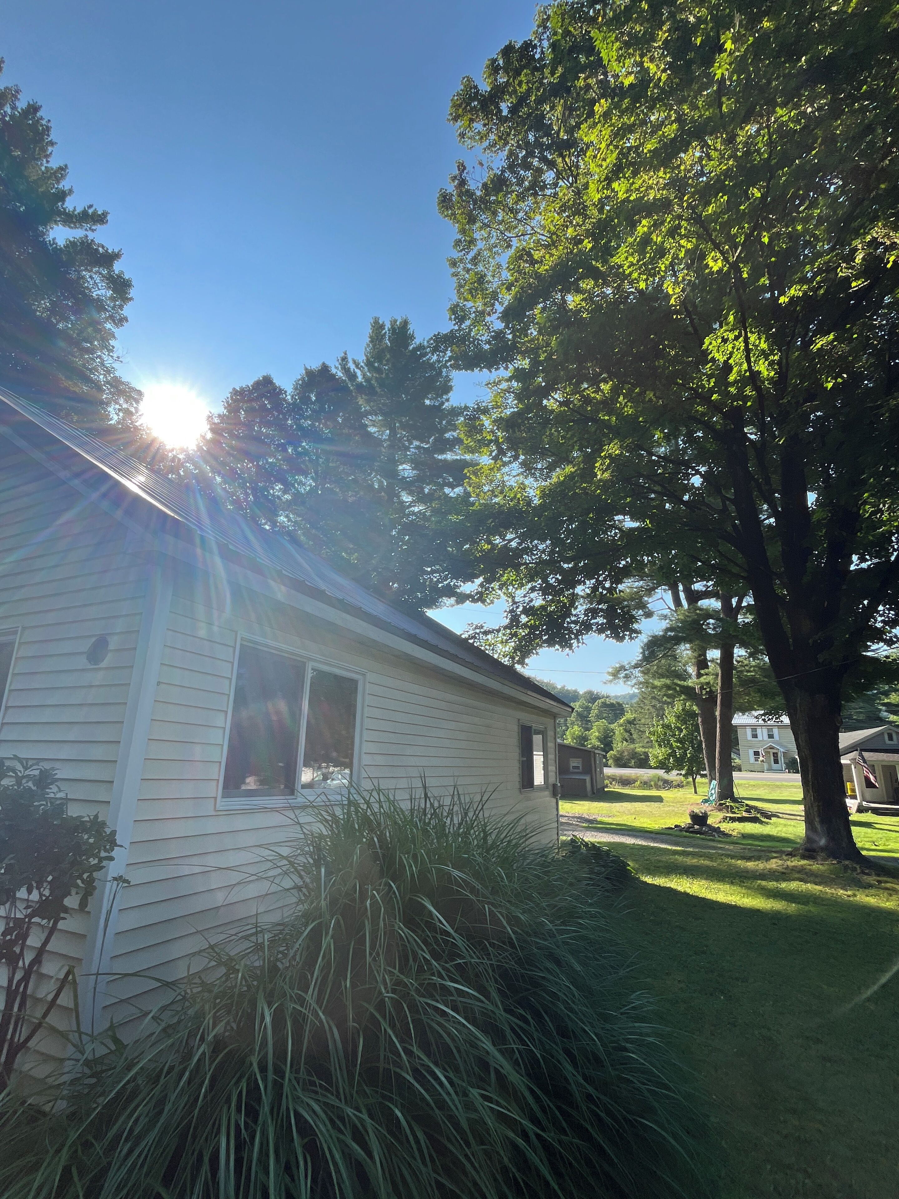 A single-story house with a front yard, a large tree, and a clear sky.