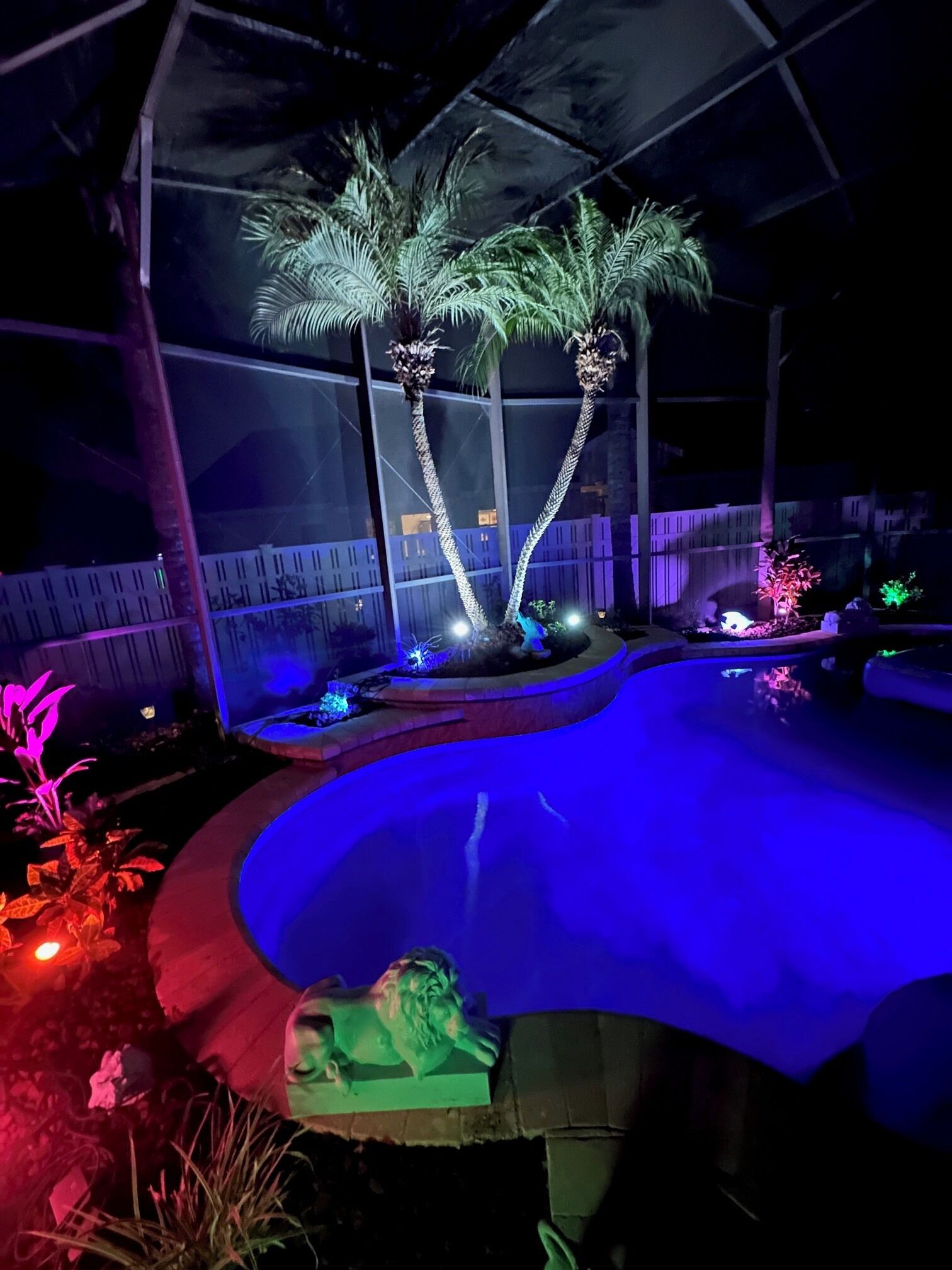 En pool med en böjd kant och ett litet vattenfall. Två palmer är upplysta med lampor.