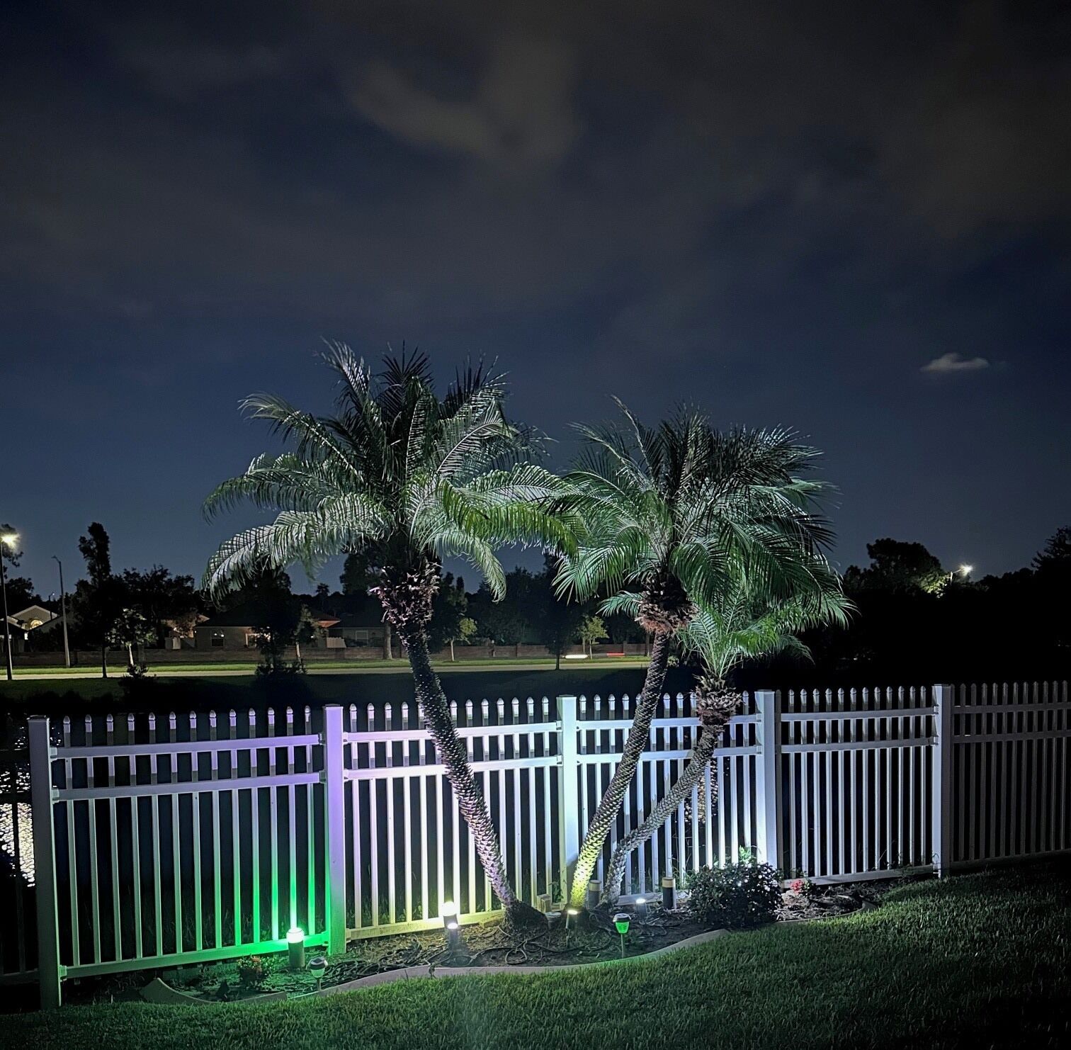 A nighttime view of a fenced area with palm trees and a white picket fence.