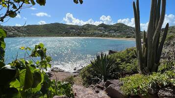 A coastal landscape with a clear view of the sea, a cactus, and a pebble path leading to the beach.