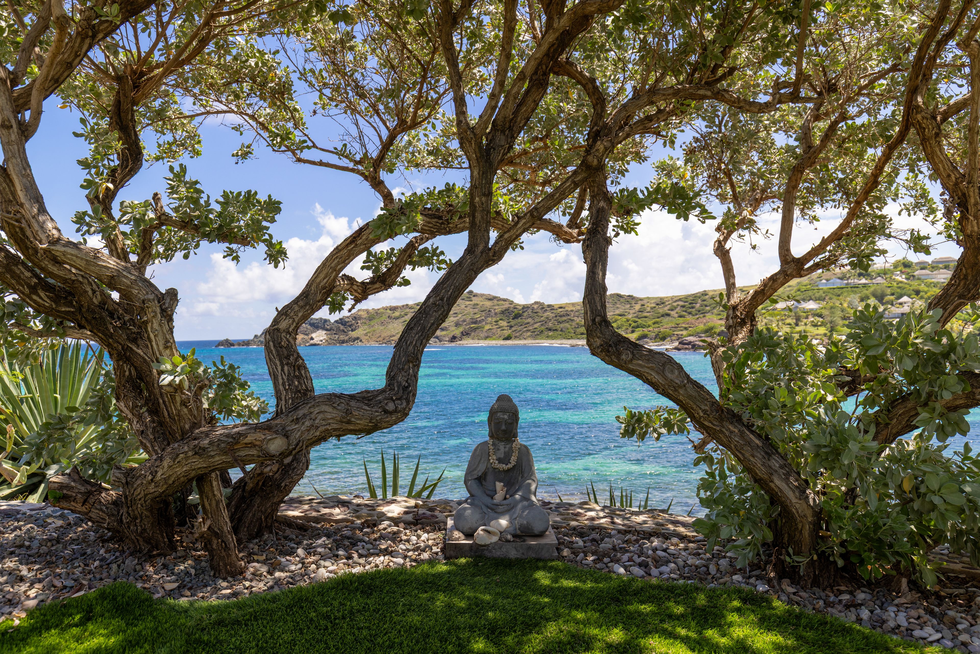A Buddha statue under a tree by a clear blue sea.