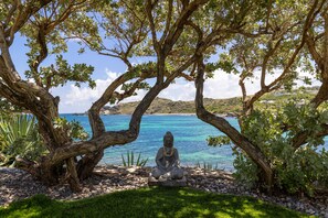 A Buddha statue under a tree by a clear blue sea.