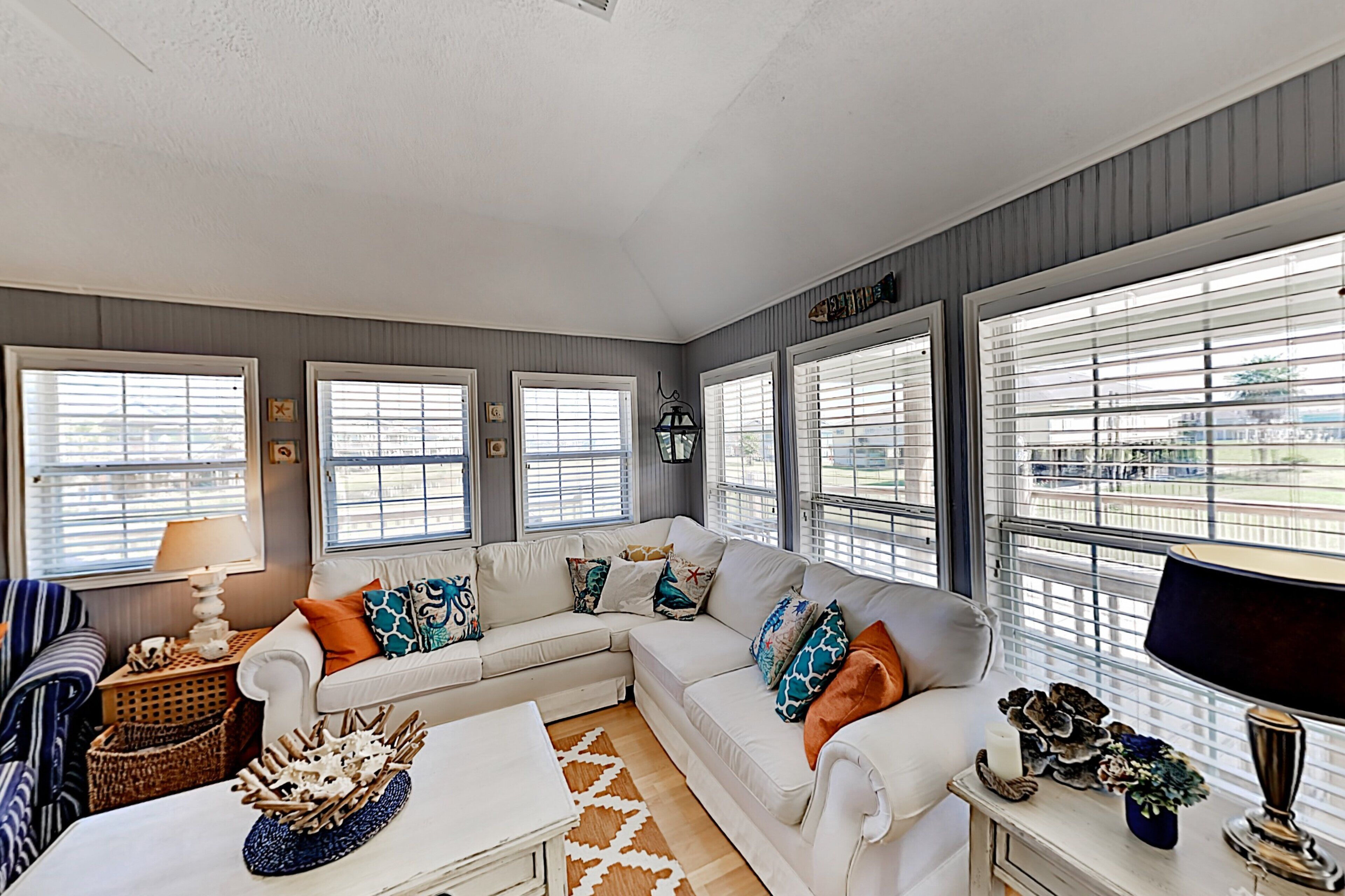 电视、DVD 播放器