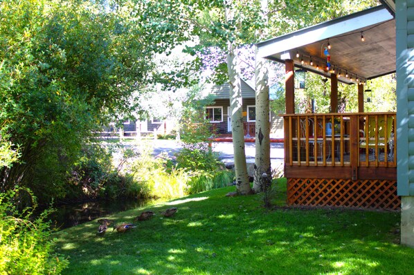 المنطقة المحيطة بالمنشأة