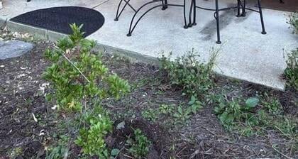 Golf Course Views • 3 King Suites • Fireplace • EV Charger