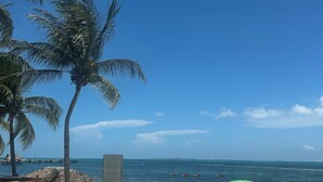 Une plage bordée de palmiers, avec des kayaks et un panneau indicateur.