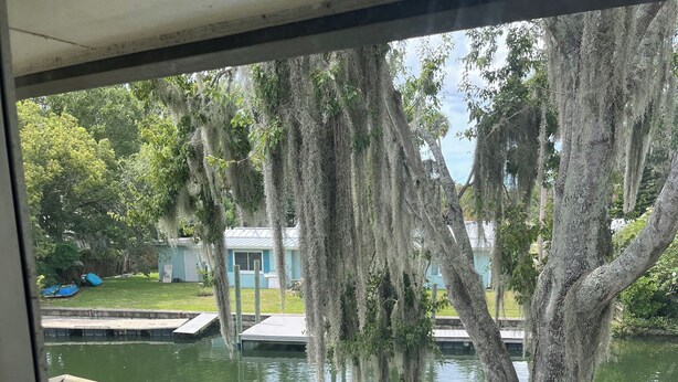 Una terraza de madera con vistas a un lago, un muelle y árboles cubiertos de musgo español.