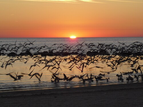 Charming 2 bdrm 1.5 bath villa 100 yards to Three Sisters Springs