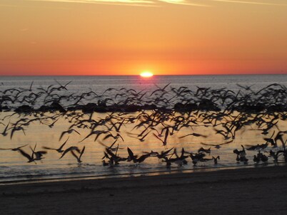 Charming 2 bdrm 1.5 bath villa 100 yards to Three Sisters Springs