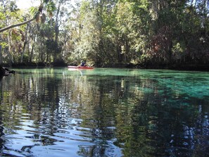 Un río tranquilo rodeado de un bosque frondoso.