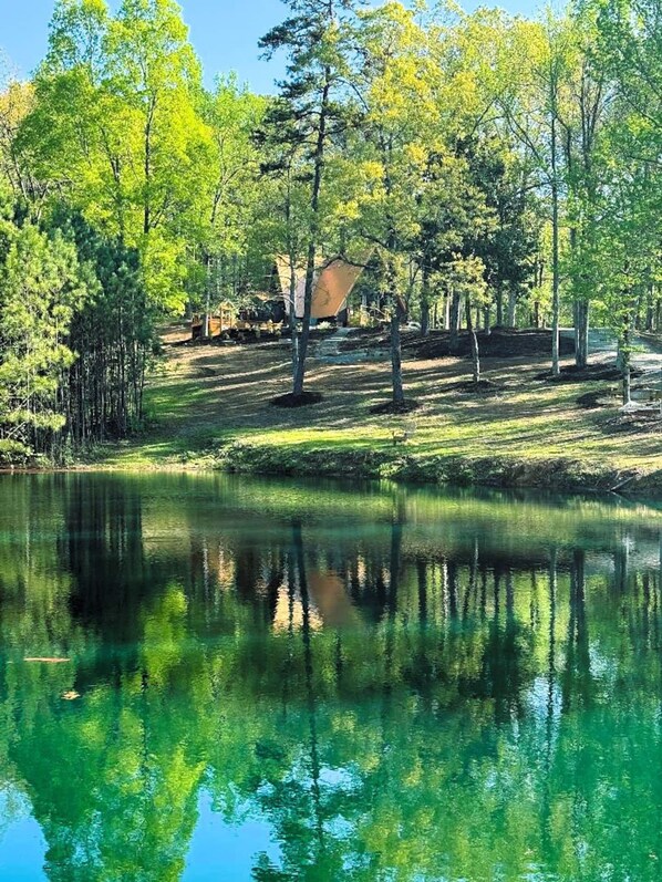A serene lakeside setting with a clear reflection of trees and a distant building. - A-frame Retreat on Private Pond (Oneonta)