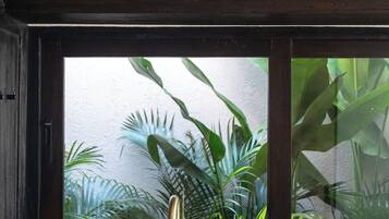 Villa Luxe, 1 chambre, patio, vue piscine | Cuisine privée