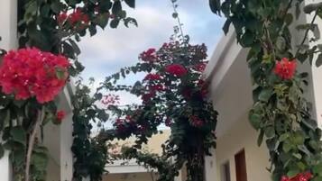 Zimmer, Gartenblick | Terrasse/Patio