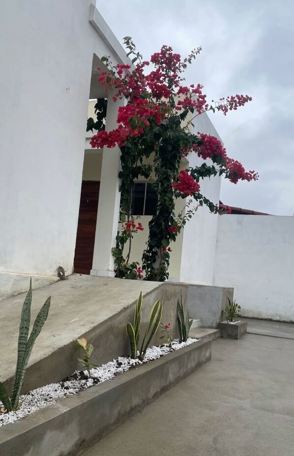 Property grounds - Pousada Santo Mel (São Tomé)