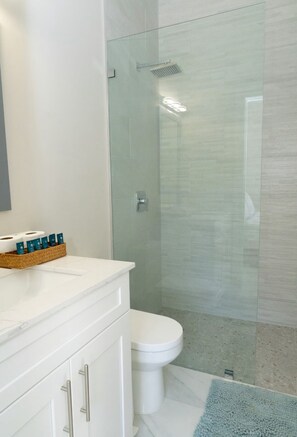 Hair dryer, towels, soap, toilet paper