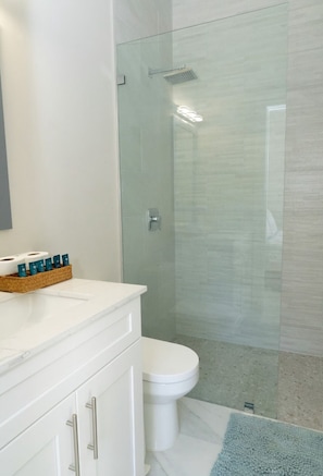 Hair dryer, towels, soap, toilet paper
