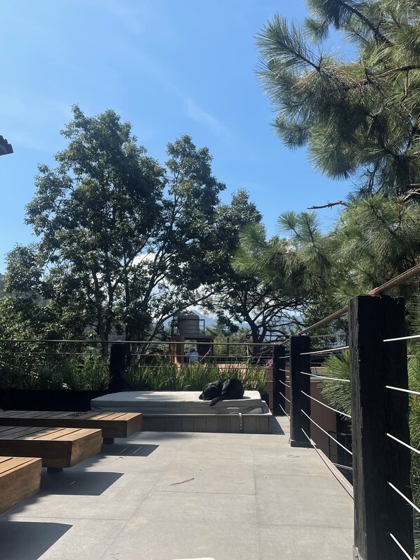 Un patio con bancos de madera, una verja metálica y árboles al fondo.