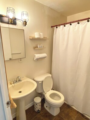 Hair dryer, towels, soap, toilet paper