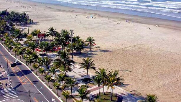 A beach with palm trees and a road in the foreground. - Apartment 2 Blocks from Guilhermina Beach-Praia Grande SP! Near Boqueirão (Praia Grande)