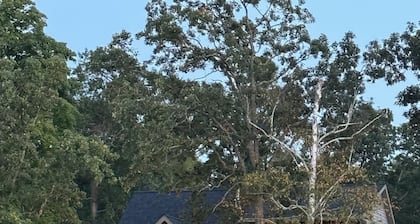 Perfect for Families & Groups, Kayaks, Canoe, Firepit, Grill, on Diamond Lake