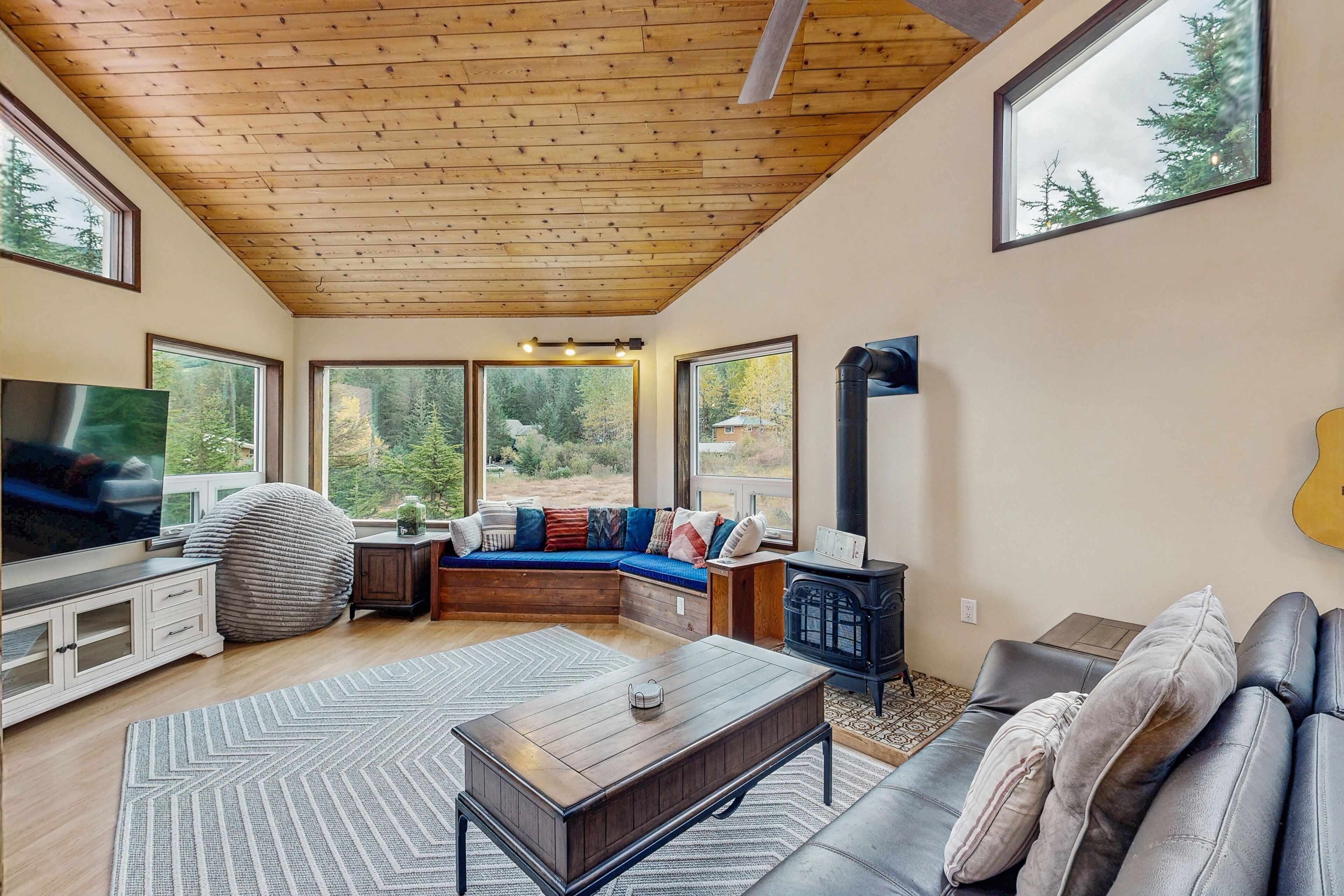 TV, fireplace, books