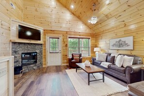 TV, fireplace, books