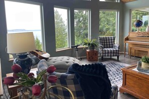 Una televisión, una chimenea, un reproductor de DVD