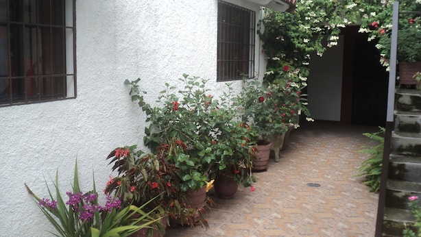 A courtyard with potted plants and a white building with barred windows.