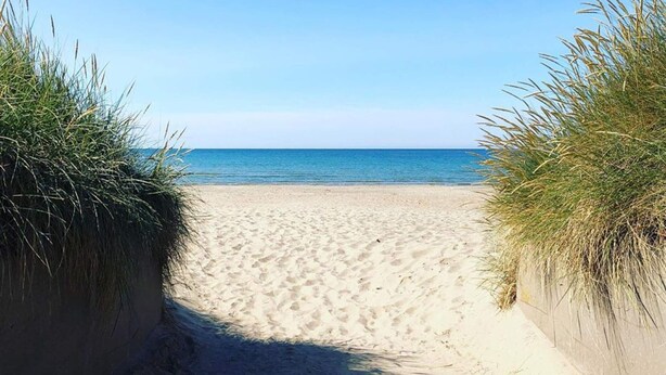 A sandy beach with a clear blue sky and calm sea. - 4 Star Holiday Home in Falkenberg (Falkenberg)
