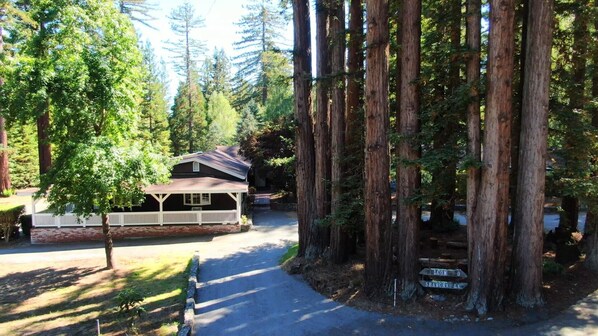 Property grounds - 4+bd/3ba Redwood Retreat w/pool (Sebastopol)