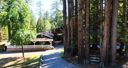 4+bd/3ba Redwood Retreat w/pool