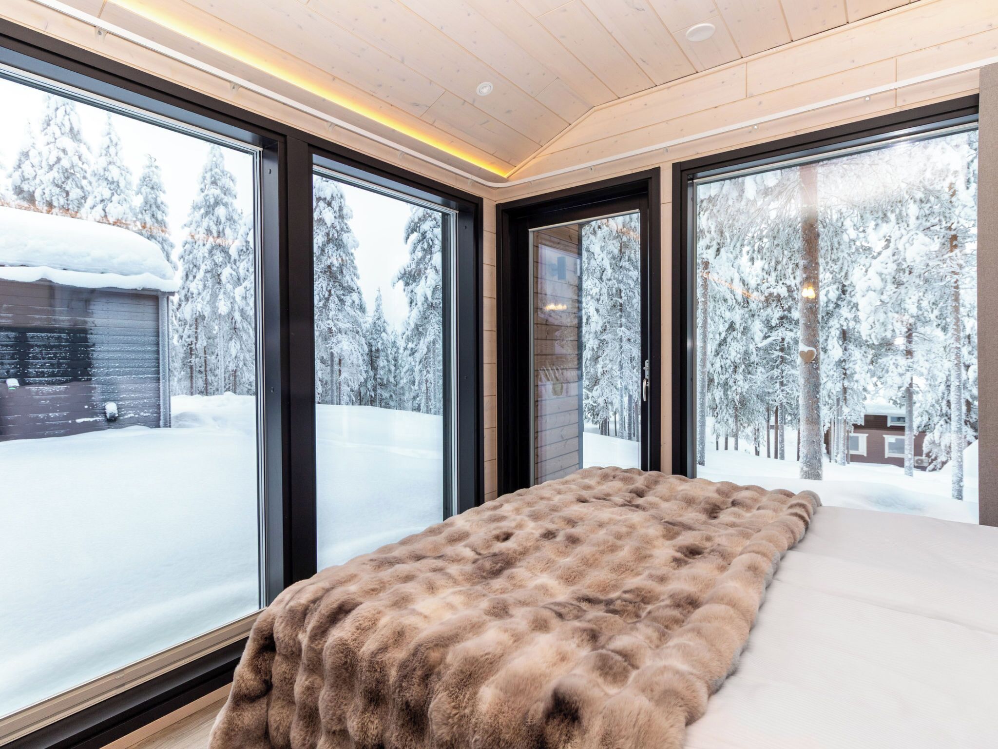 1 habitación y internet 